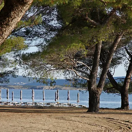 Gogreen Penthouse Appartement *